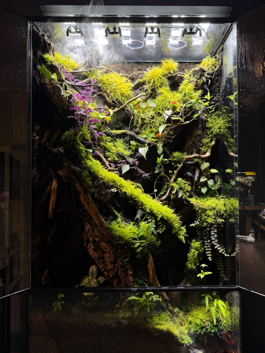 Vivarium & Paludarium