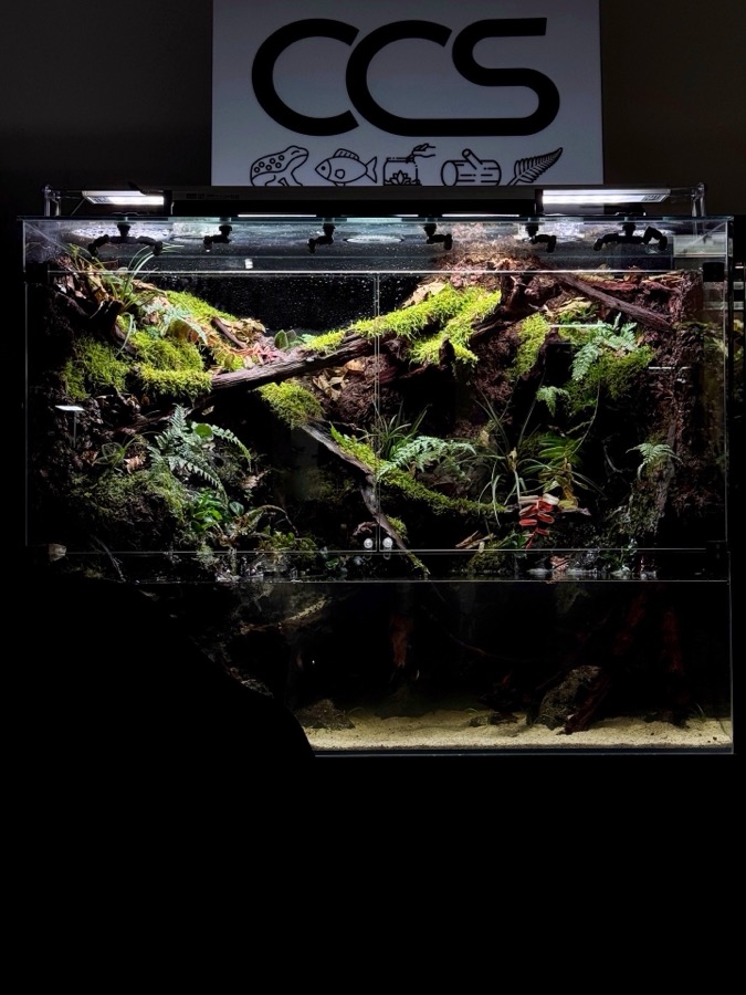 Aquascape