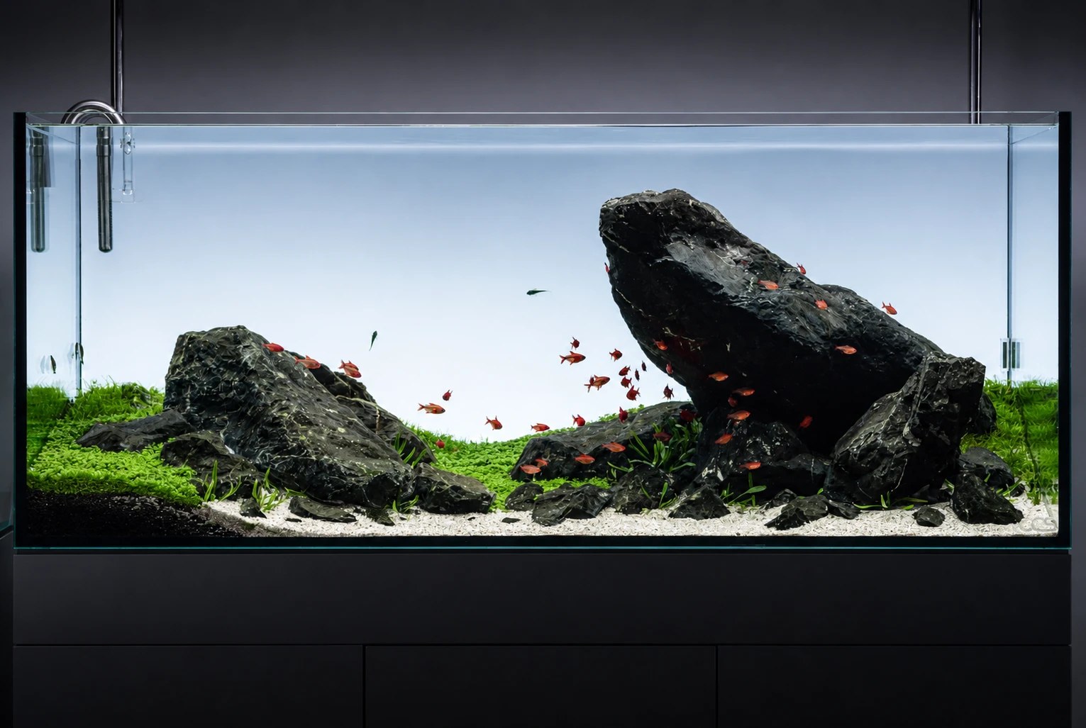 A custom CCS aquascape