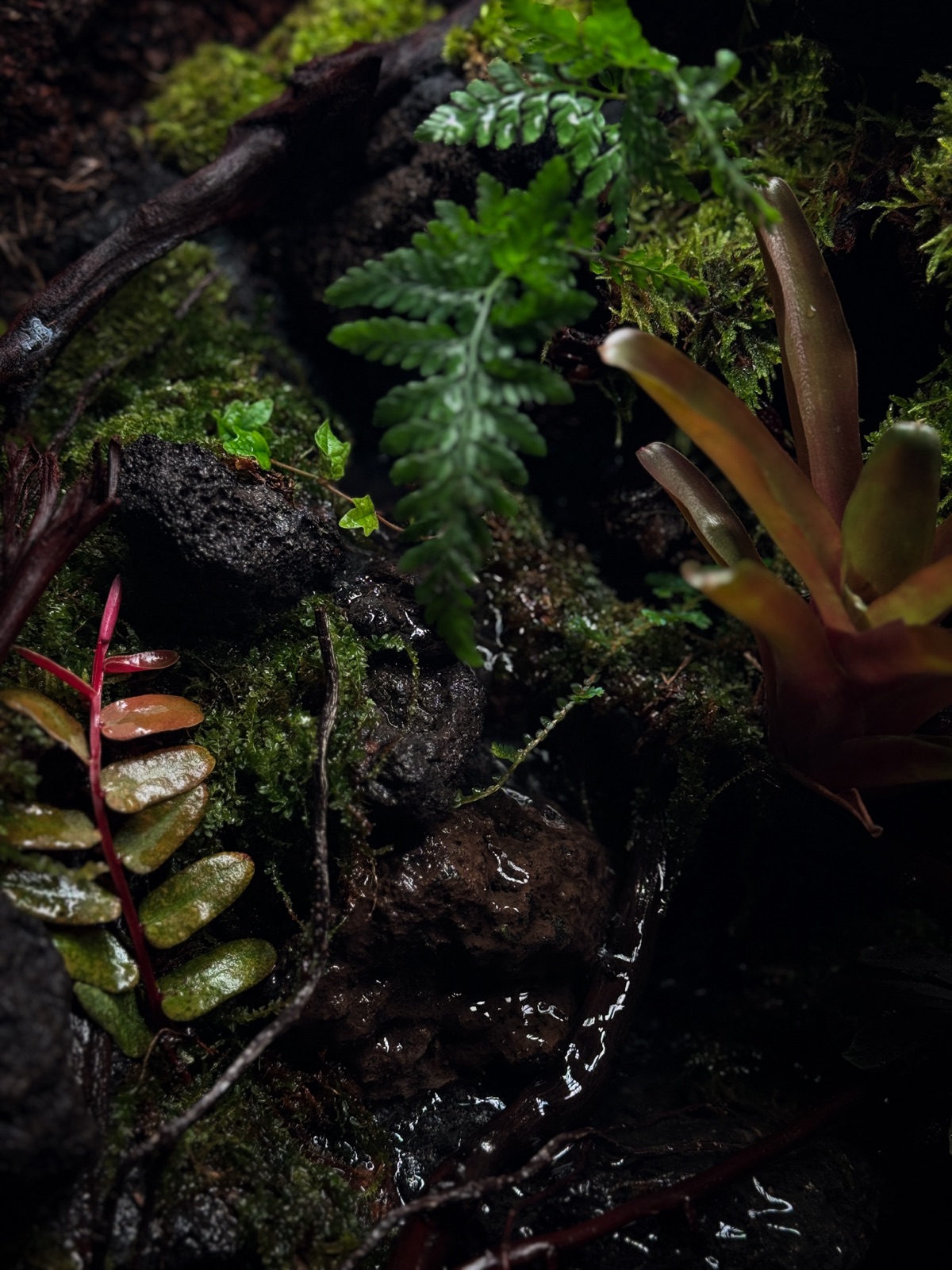 Lost: detail