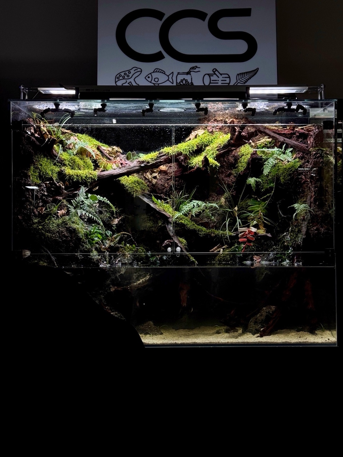 Riverbank: detail