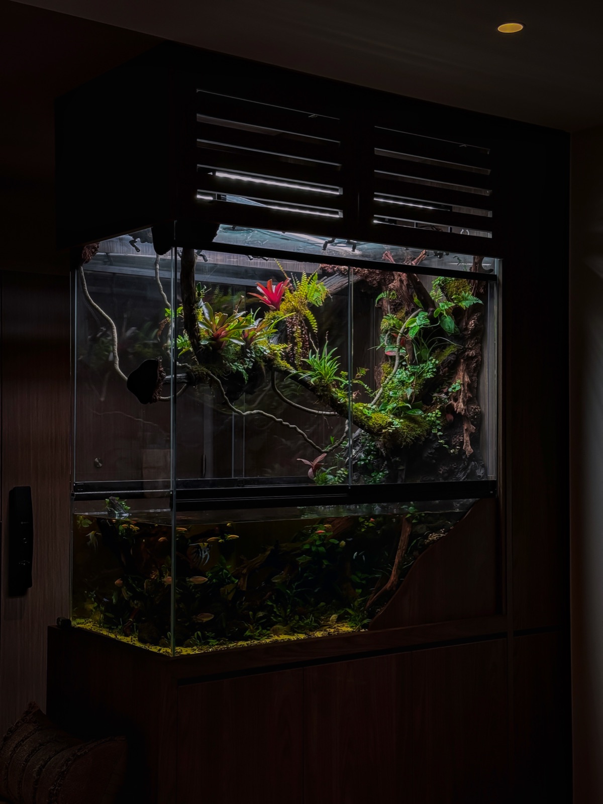 A fully enclosed paludarium with glass doors and a vented top