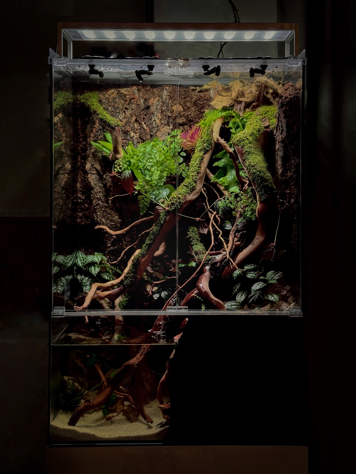 A freestanding vivarium on a stand