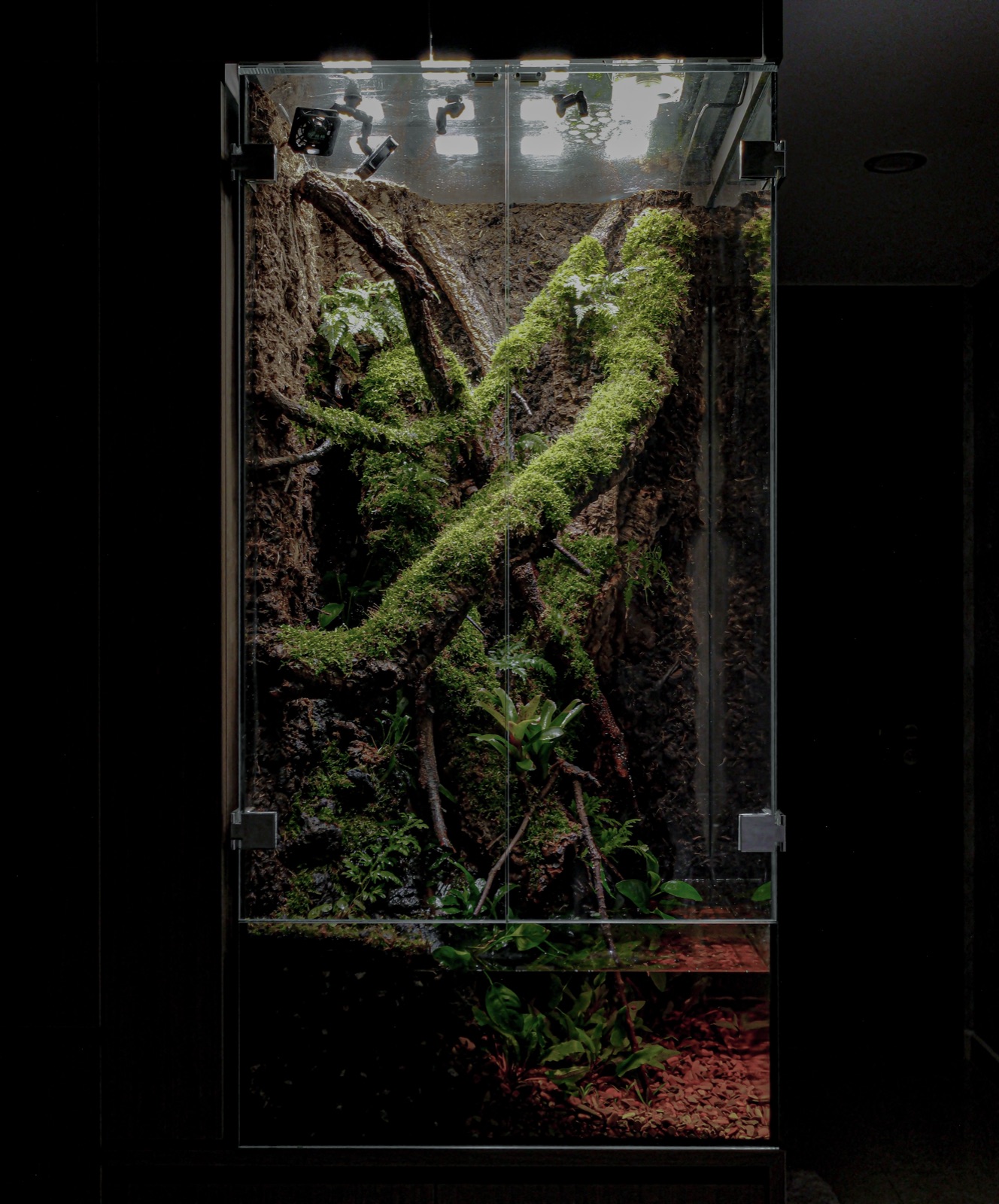Mossbridge paludarium