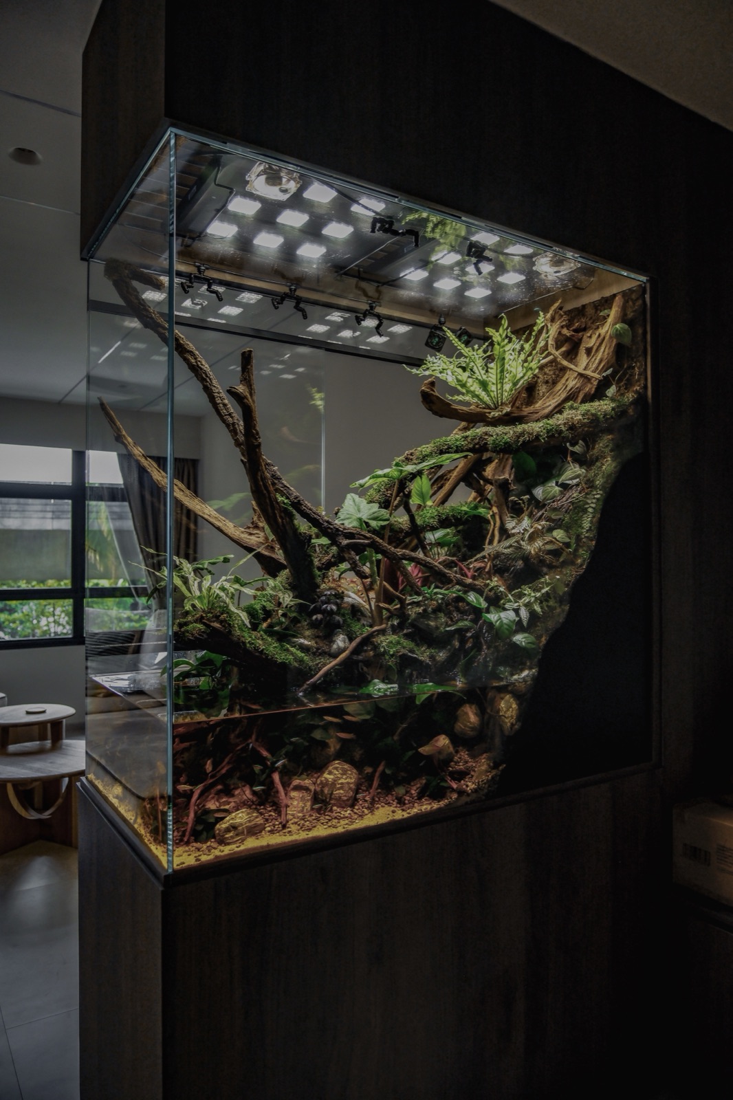 A CCS vivarium in a Singapore home