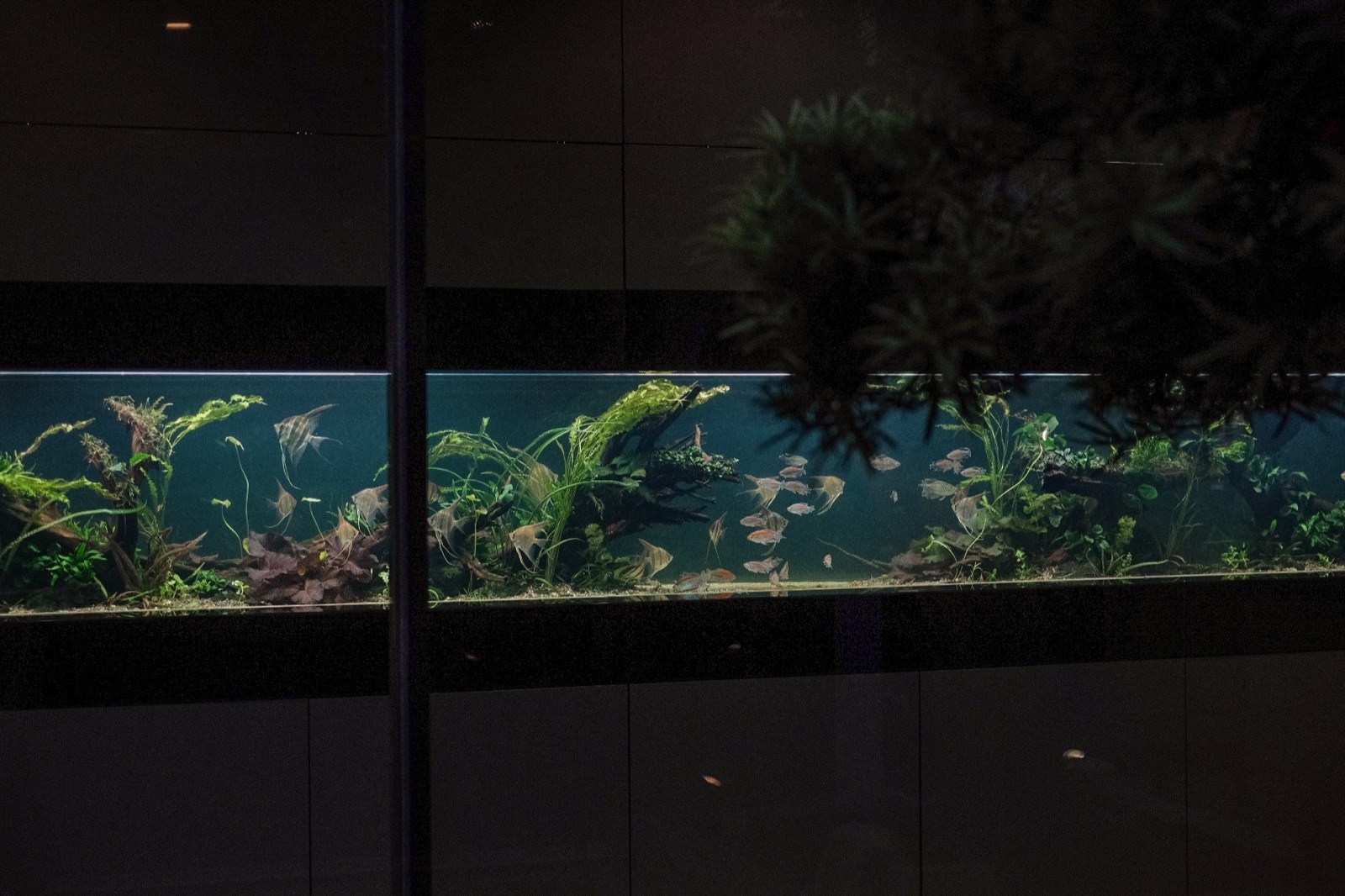 A six-metre CCS installation in a building