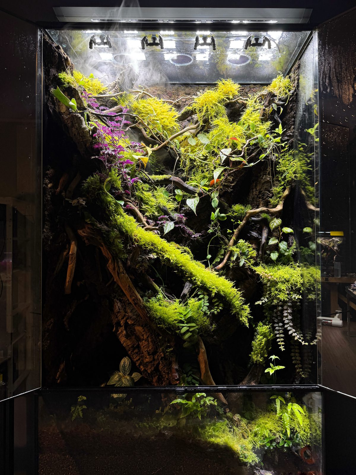 A tall land-focused vivarium